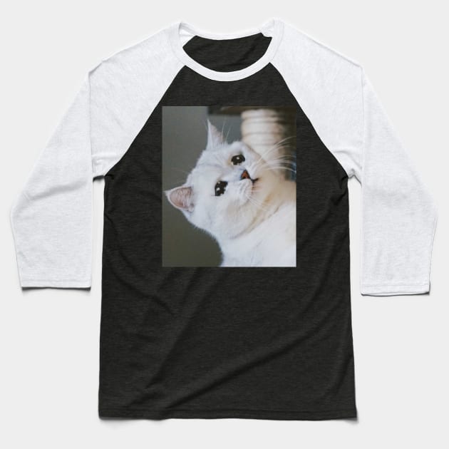 Sad Cat Crying Cat Cute Meme Baseball T-Shirt by Random Galaxy